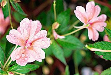 暴雪《暗黑破坏神4》新视频错误连篇 被玩家嘲笑后快速下架